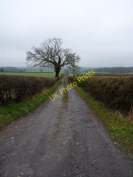 Photo 6"x4" Drive down to Patmarsh Newton\/SO7397 c2011