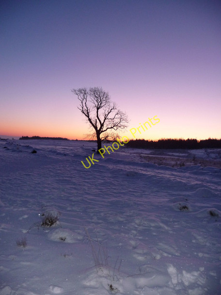 Photo 6"x4" Just Before Sunrise Johnstone\/NS4362 c2010