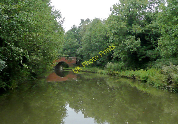 Photo 6"x4" Worcester and Birmingham Canal south-west of Hopwood Alvechurch c2010