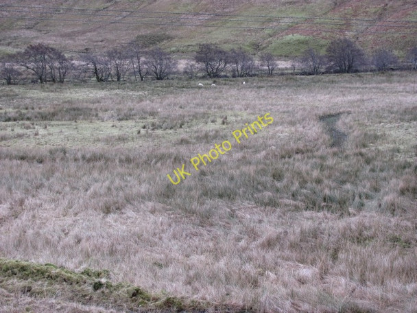 Photo 6"x4" Wet ground, Glen More Scallasaig c2011