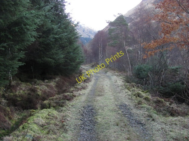 Photo 6"x4" Forest road by Dorusduain Carn-gorm c2011