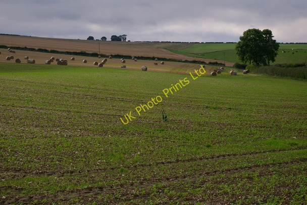 Photo 6"x4" Field Near Honey Hill Langtoft\/TA0166 c2006
