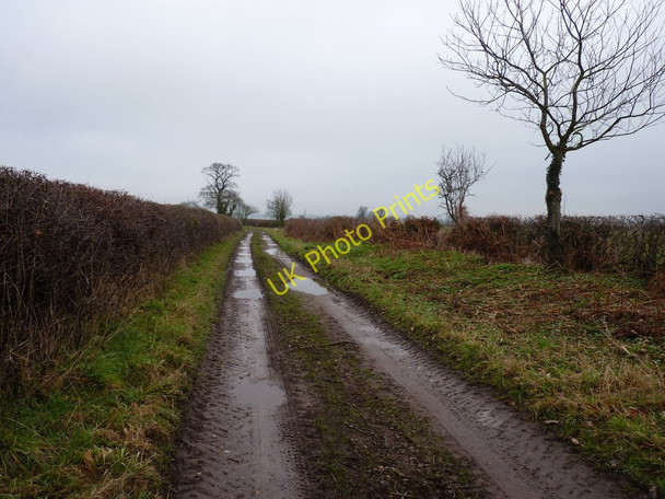 Photo 6"x4" Bridleway towards Hartlebury Newton\/SO7397 c2011