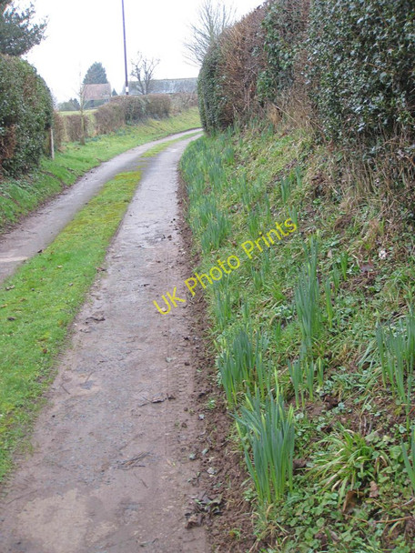 Photo 6"x4" Felhampton farm drive Crow Hill\/SO6326 c2011