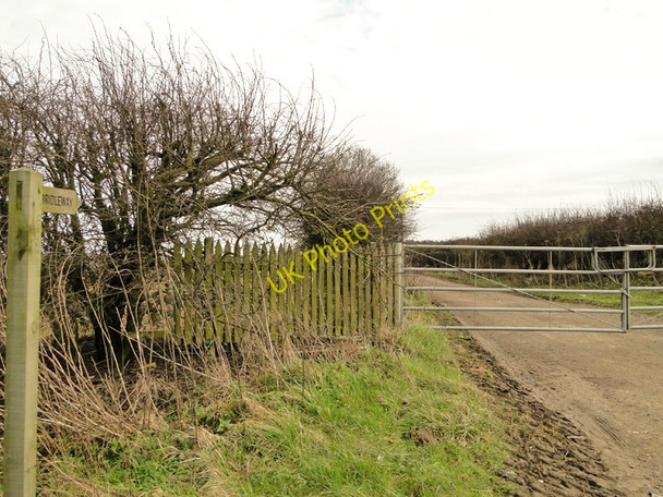 Photo 6"x4" Bridleway and gated entrance to Palgrave Hall Swaffham c2011