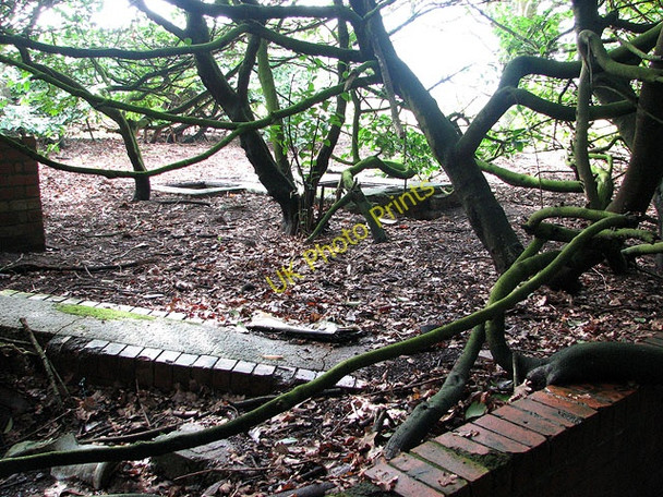 Photo 6"x4" Hales Hospital sewage works Hales\/TM3897 c2011