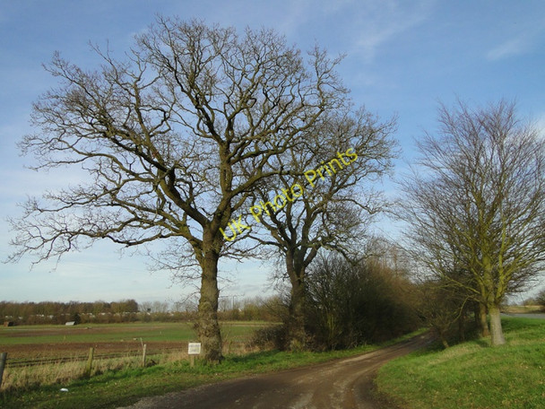 Photo 6"x4" Track and entrance to Grenstein Farm, Mileham Litcham c2011