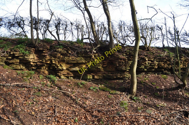 Photo 6"x4" Exposure of Limestone Ault Hucknall c2011