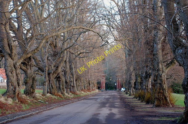 Photo 6"x4" The Avenue and Yester House entrance gate, Gifford Gifford c2011