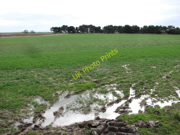 Photo 6"x4" Wet fields, Wormiston Crail c2011