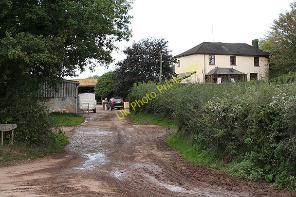 Photo 6"x4" Stockleigh English: Binneford Farm Woolfardisworthy c2006