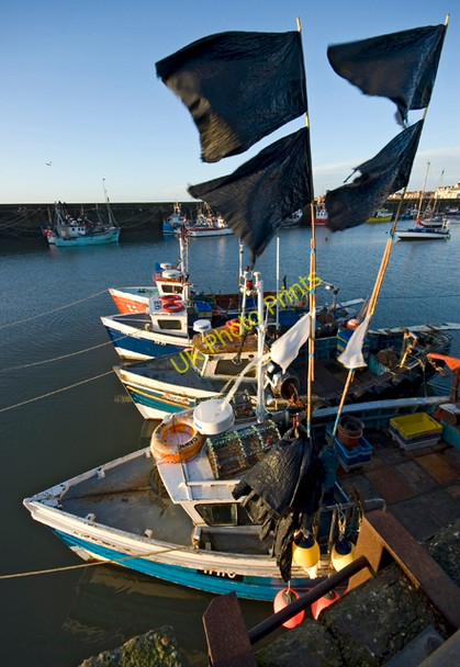 Photo 6"x4" Fishing boats, Bridlington Harbour Bridlington c2011