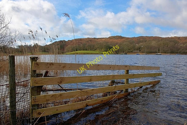 Photo 6"x4" Fence, Coniston Water High Nibthwaite c2011