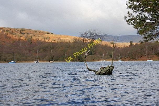 Photo 6"x4" Rocky Outcrop, Coniston Water High Nibthwaite c2011