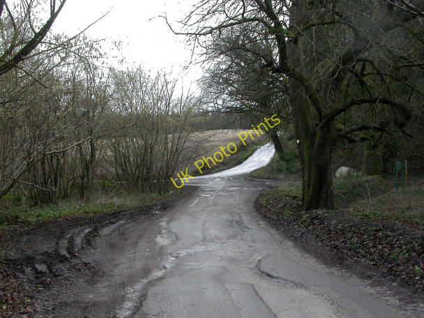 Photo 6"x4" Puddletown Forest, road junction Northbrook\/SY7594 c2011