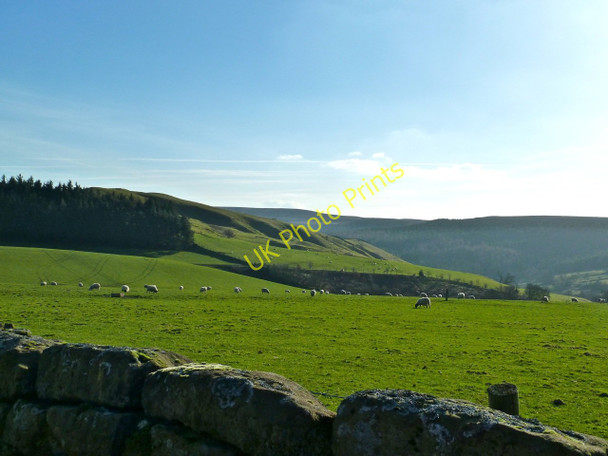 Photo 6"x4" Wath Hill, Raisdale Chop Gate c2011