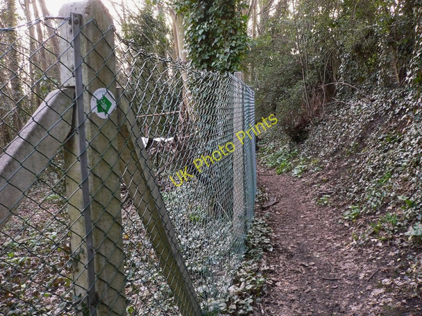 Photo 6"x4" St Swithun's Way in Farnham (2) Farnham\/SU8446 c2011