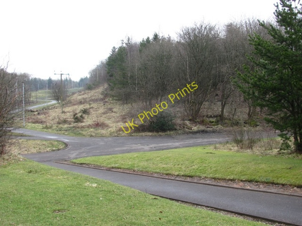 Photo 6"x4" Woodland, Craighalbert Blackwood\/NS7274 c2011