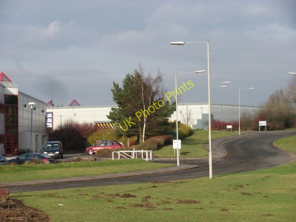 Photo 6"x4" Drum Mains Blackwood\/NS7274 c2011