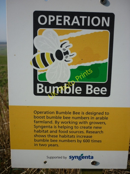 Photo 6"x4" Operation Bumble Bee at Little Givendale Farm Millington c2011