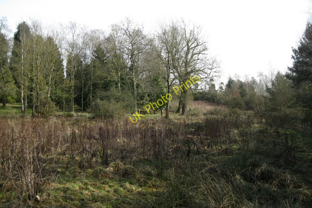 Photo 6"x4" Fallow land adjoining the M40 Kemps Green c2011
