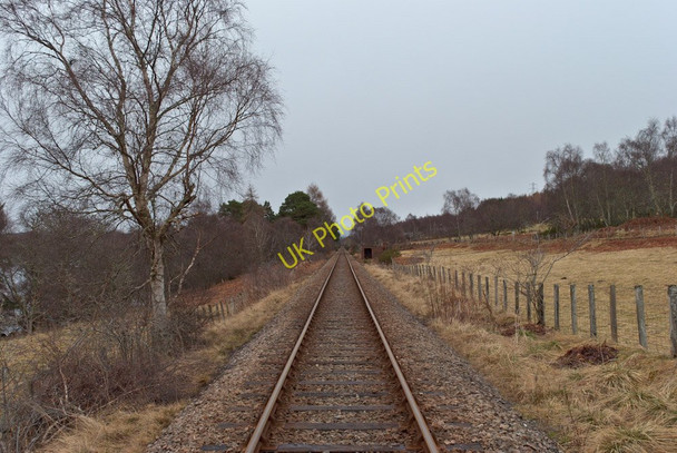 Photo 6"x4" Looking towards Ardgay Culrain c2011