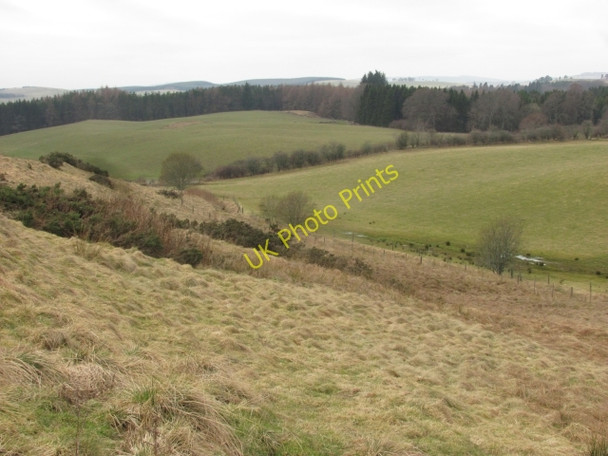 Photo 6"x4" Newton of Bamff Alyth c2011