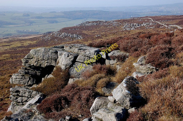 Photo 6"x4" Clougha Scar Hare Appletree c2011