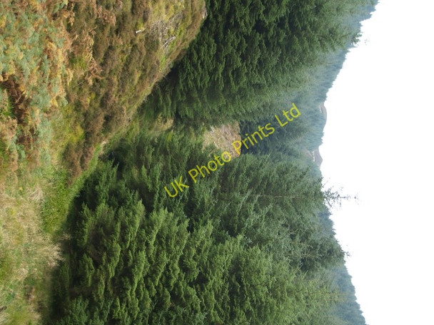 Photo 6"x4" Craigie Cleuch Williamslee c2006