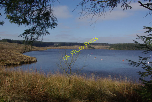 Photo 6"x4" Llyn Brenig Pentre-llyn-cymmer c2011