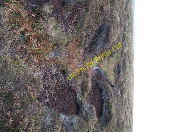 Photo 6"x4" Peat gully, Rough Moss Garvald Punks c2006