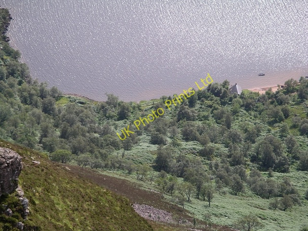 Photo 6"x4" Doire Damh Doire Damh\/NG8750 c2005