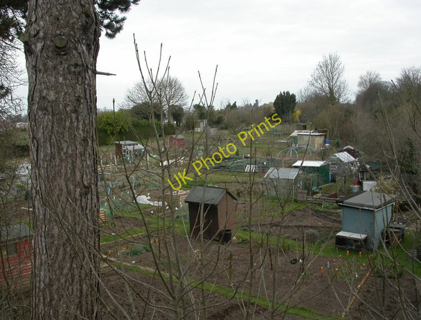 Photo 6"x4" Kenilworth, allotments Kenilworth c2011