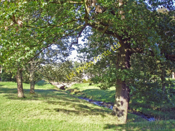 Photo 6"x4" Lyme Handley: Bollinhurst Brook in Lyme Park Danebank c2006