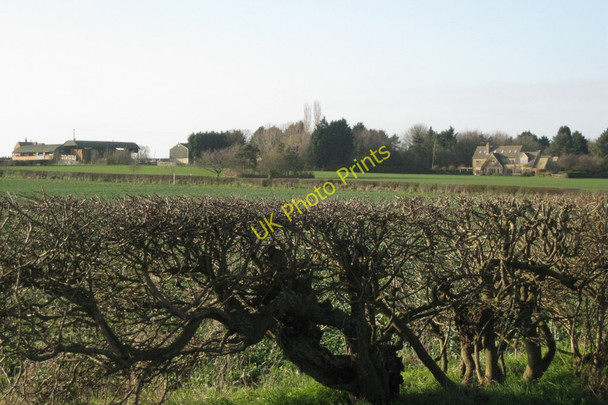 Photo 6"x4" Hedge by the lane, Alveston Hill Alveston Hill c2011