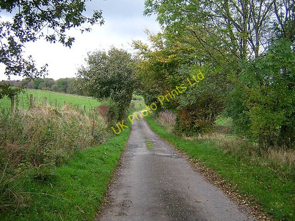 Photo 6"x4" Minor Road Near Old Blairshinnoch Beeswing c2006