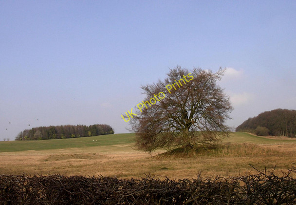 Photo 6"x4" Two out of Seven Barrows Upper Lambourn c2011