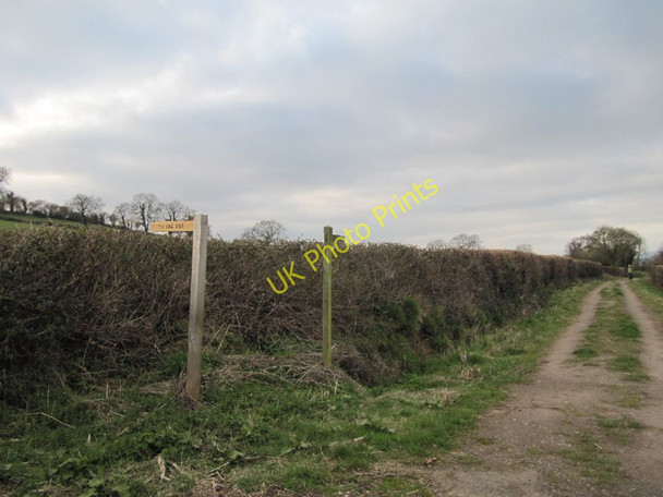 Photo 6"x4" Signs on the lane Glastonbury c2011