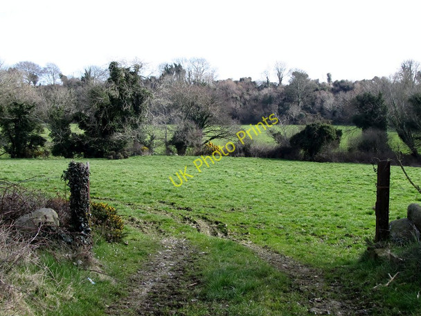 Photo 6"x4" View east across the valley of the Kilkeel River from the Aughnahoory Road Kilkeel c2011