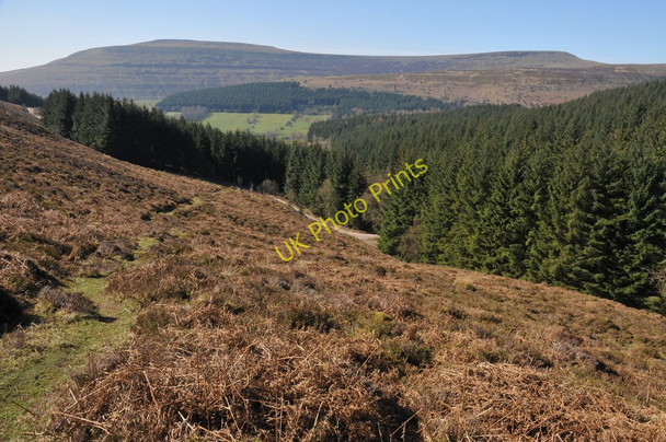 Photo 6"x4" Above Nantyrychain Partrishow c2011