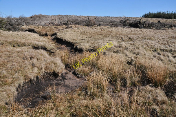 Photo 6"x4" Clear fell on the Black Mountains Capel-y-ffin c2011