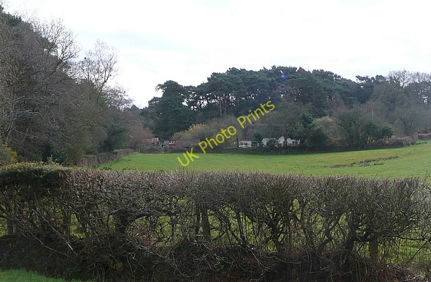 Photo 6"x4" House in the wood Bushey\/SY9883 c2011