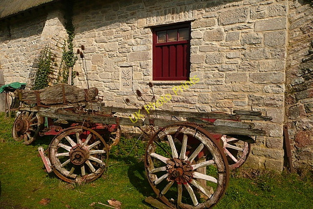 Photo 6"x4" Exhibit at Scotland Bushey\/SY9883 c2011