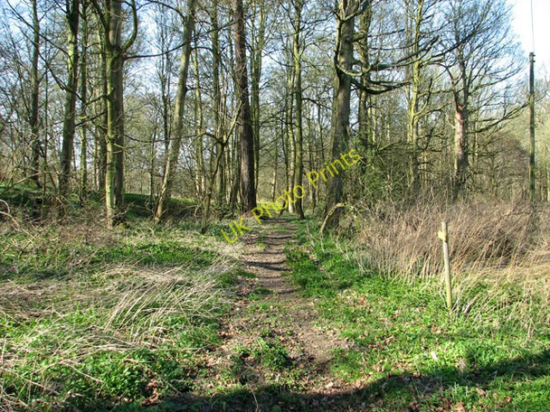 Photo 6"x4" Narrow path in Ryehill Plantation Barford\/TG1107 c2011