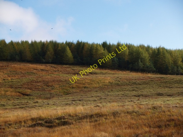 Photo 6"x4" Forest plantation, Allt Ghlas Allt Ghlas c2006