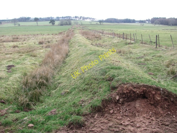 Photo 6"x4" Old field boundary Carnwath c2011