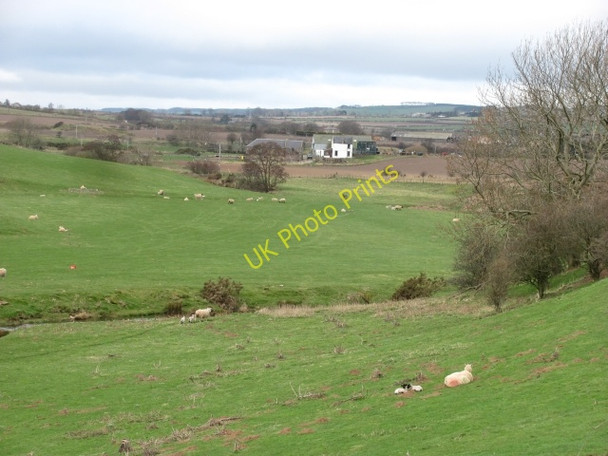 Photo 6"x4" Eye Water Reston\/NT8862 c2011