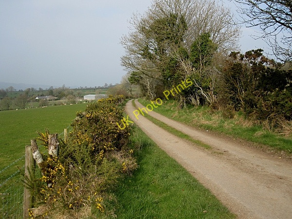 Photo 6"x4" Country Lane Graiguenamanagh c2011