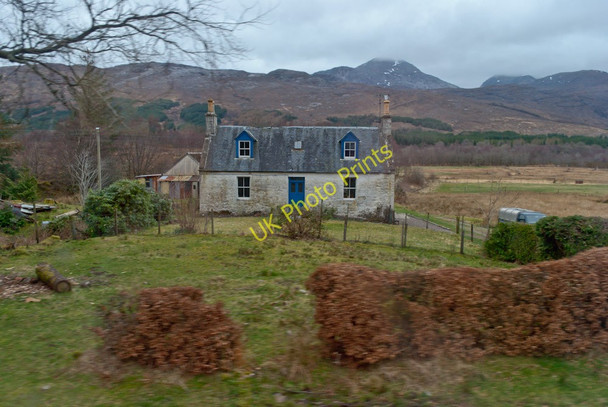 Photo 6"x4" Glimpsed Croft at Blackwood Strath Carran c2011