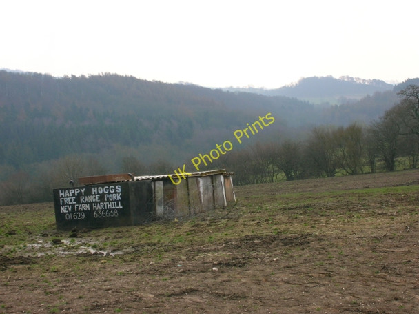 Photo 6"x4" Former Pig Field, Harthill New Farm Alport\/SK2264 c2011